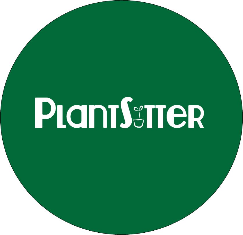 plantsitter.ae